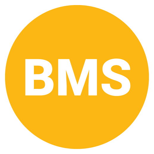 BMS-2